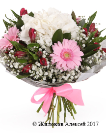 ����� ���� ����������