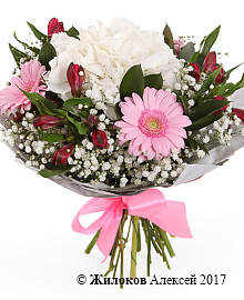 ����� ���� ����������