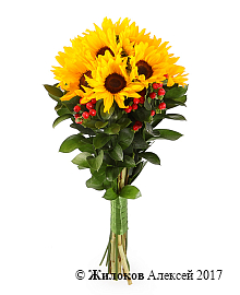 ����� � ������������ ��������� �������