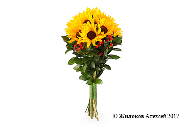 ����� � ������������ ��������� �������