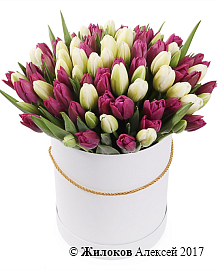 ����� 101 ����������� ������� � ����� ������� �������, ����-��������� ����