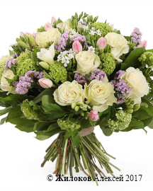 ����� ����� ����