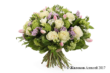 ����� ����� ����