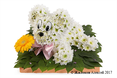 ���������� ������