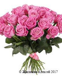 ����� 35 ��� ����