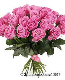 ����� 35 ��� ����