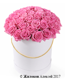 ����� 51 ���� ���� � ������� �������