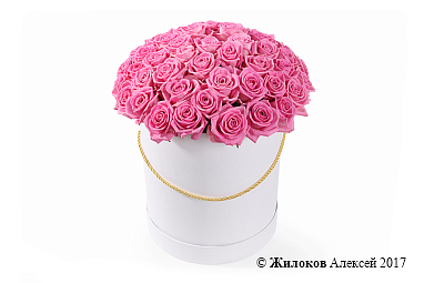 ����� 51 ���� ���� � ������� �������