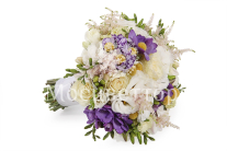 ����� ������� �����