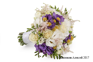 ����� ������� �����