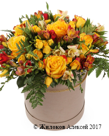 ����� ������� ������� � ������� �������