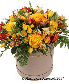 ����� ������� ������� � ������� �������