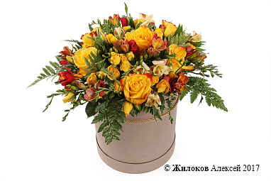 ����� ������� ������� � ������� �������