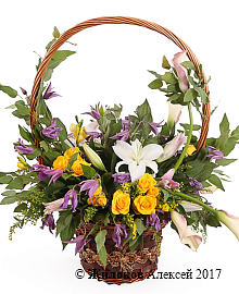 ����� ���� ����� � �������