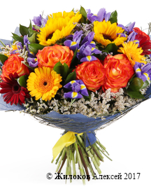 ����� ����������� ������