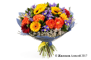 ����� ����������� ������