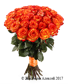 ����� 35 ��� ��� ������