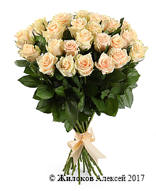 ����� 25 ��� �����