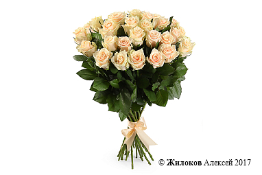 ����� 25 ��� �����