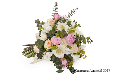 ����� ������� �����