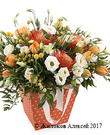 ����� �������� ����