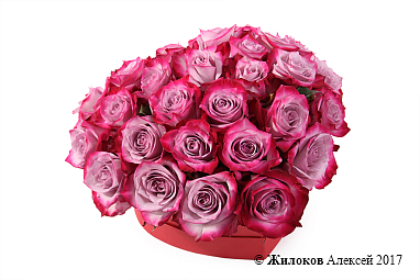 ���������� ������� ����� � ������� ������� ������ (����)