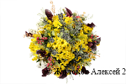 Букет с хризантемами Солнышко проснулось