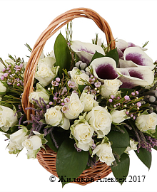 ����� ��������� ���� � �������