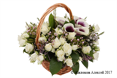 ����� ��������� ���� � �������