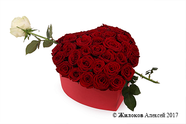 ����� ������ ����� � ������� ������� ������