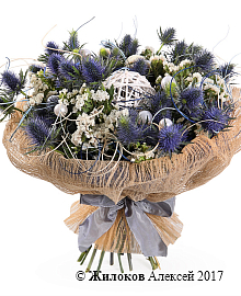 ����� ����� �������