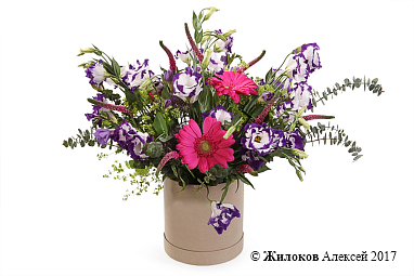 ����� ��������� ����� � ������� �������