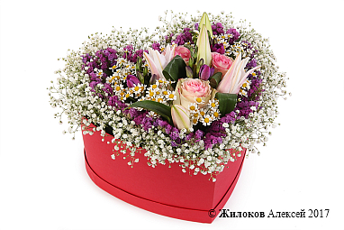 ����� ������� ��������� � ������� ������� ������