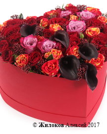 ����� ����� ���� � ������� ������� ������