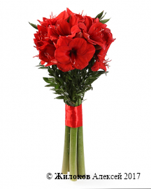 Букет с гиппеаструмами Фламенко