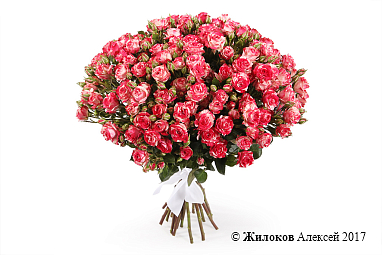 ����� 15 �������� ��� ���� �����