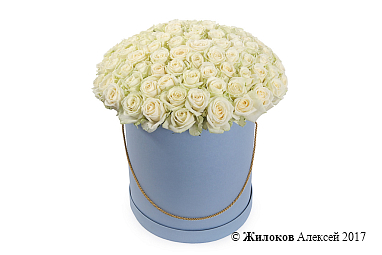 ����� 101 ���� ������� � ������� �������