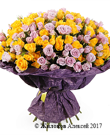 ����� ������ (40 ��� ����)