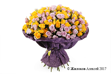 ����� ������ (40 ��� ����)