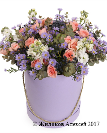 ����� � ������� ������ ������� � ������� �������