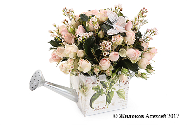 ����� ������� ���