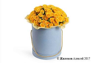 ����� ���� ������� � ������� �������