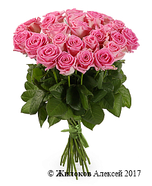 ����� 25 ��� ����