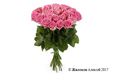 ����� 25 ��� ����