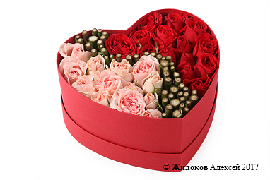 ����� ������ ���� ����� � ������� ������� ������