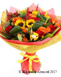 ����� � ������������ ����� �����