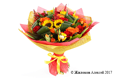 ����� � ������������ ����� �����