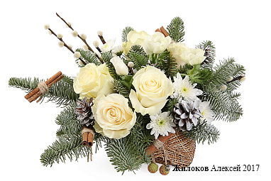 ����� �������������� �������