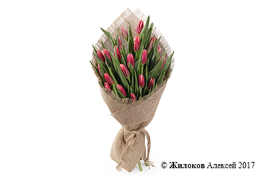 ����� ��� ���� (25 ���� ���������)