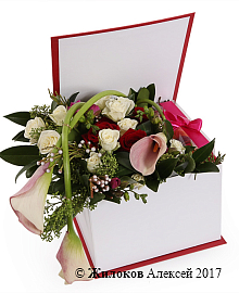 ����� � ������� ���������� ������� � ������� �������